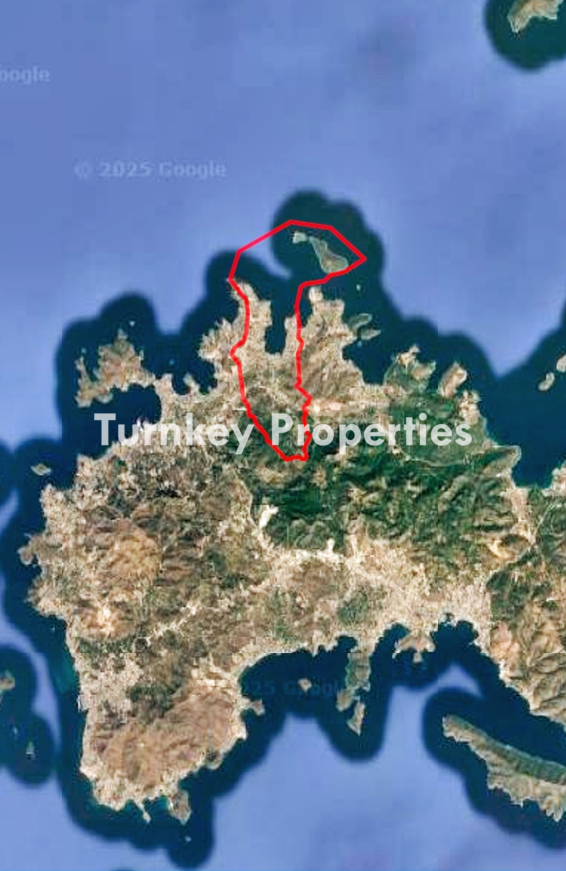 Bodrum Gündoğan Satılık Zeytinlik Tarla 8.585 m² Doğa İçinde